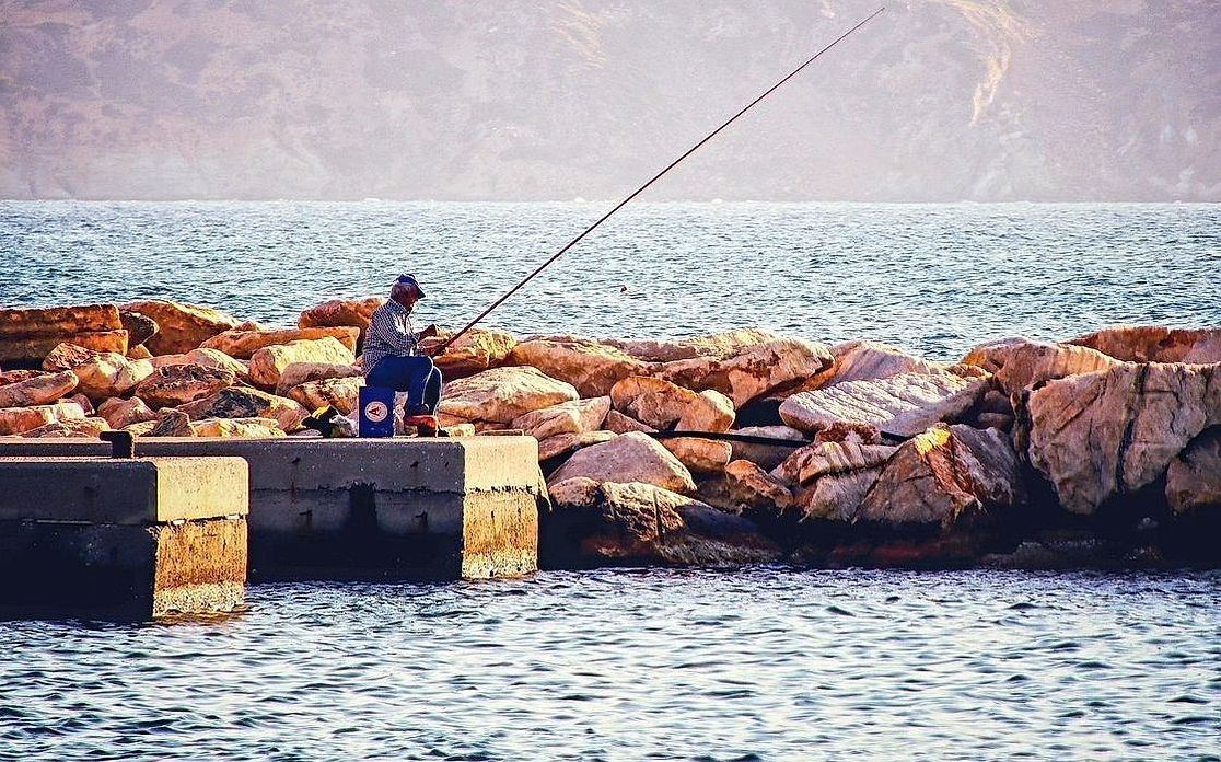 A graphite fishing rod with cork grip and detailed reel seat